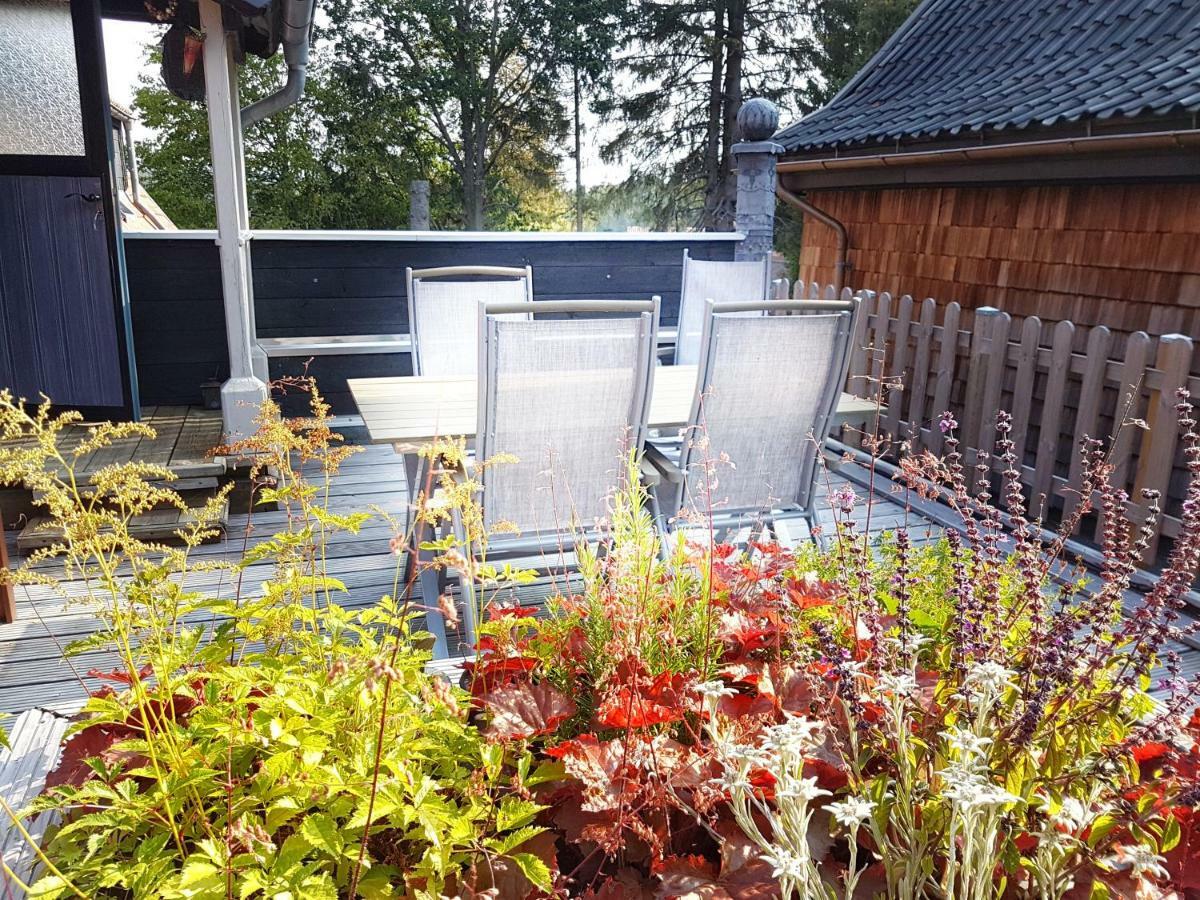 Villa Brockenhexe Braunlage Luaran gambar